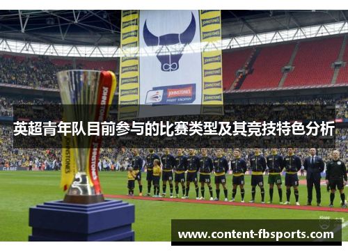 英超青年队目前参与的比赛类型及其竞技特色分析